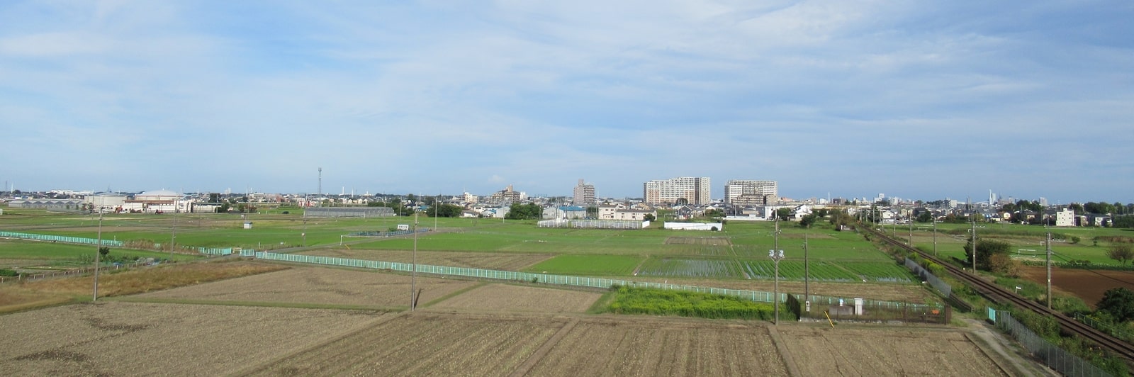 埼玉県川越市の動物病院、マリー動物病院