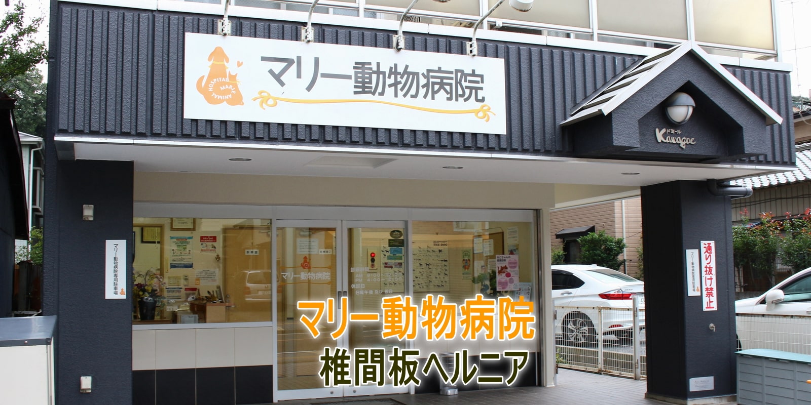 椎間板ヘルニア