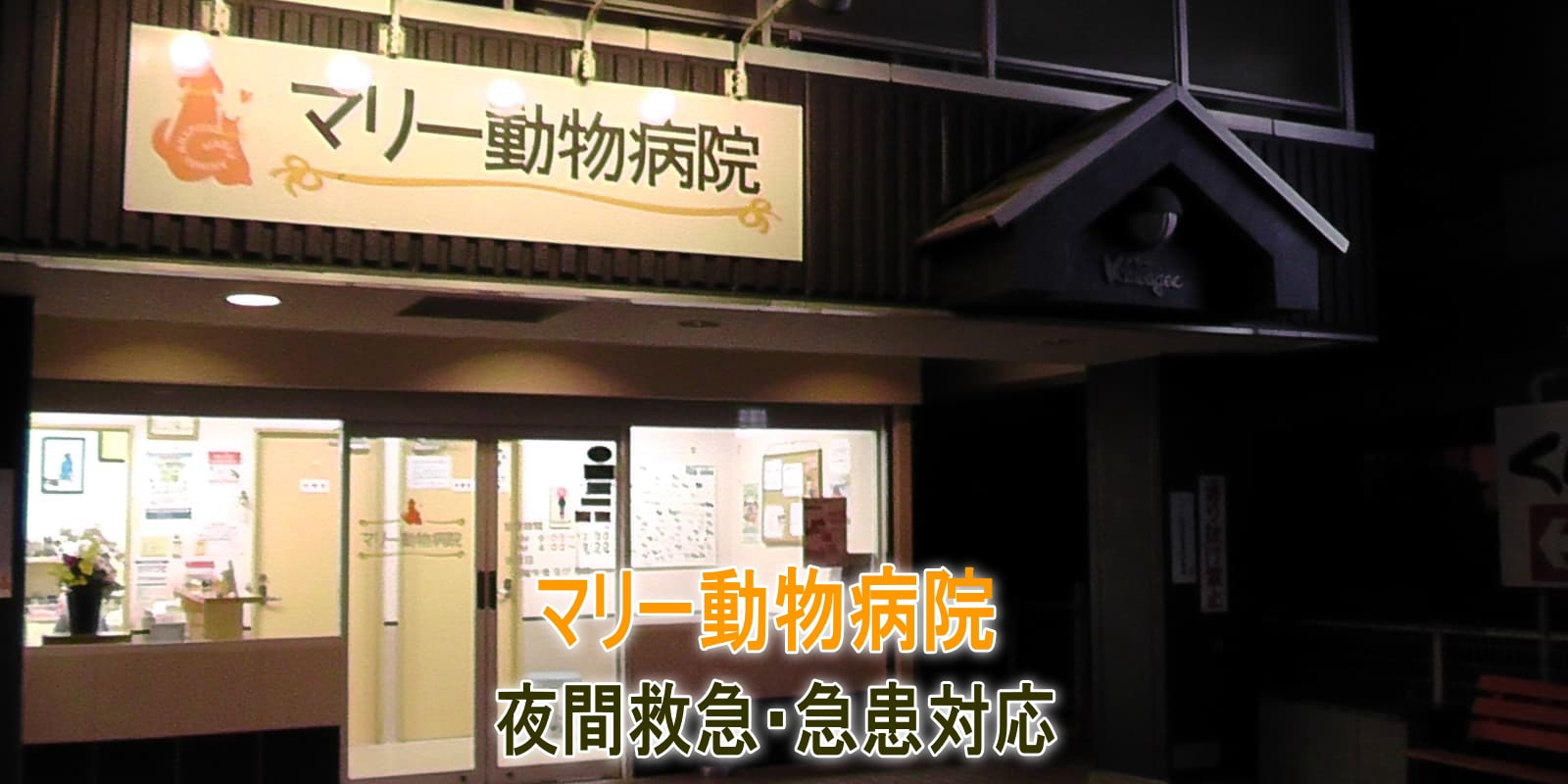 夜間救急・急患